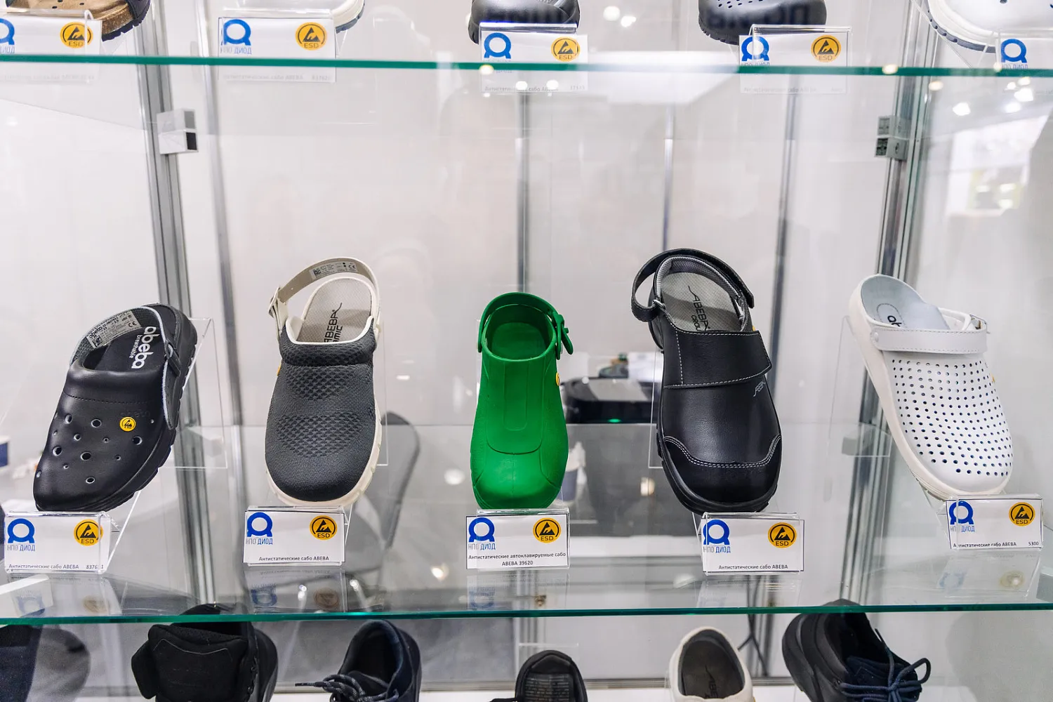 Фотоотчет с выставки БИОТ 2024 Фотоотчет с выставки БИОТ 2024